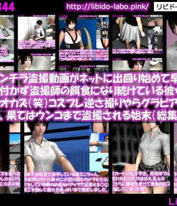 制服❤彼女のパンチラ盗撮動画がネットに出回り始めて早3年超。未だに気付かず盗撮師の餌食になり続けている彼女は国宝級のオカズ（笑）コスプレ逆さ撮りやらグラビア動画の流出やら、果てはウンコまで盗撮される始末（総集編Vol.8）-Libido-Labo|評価