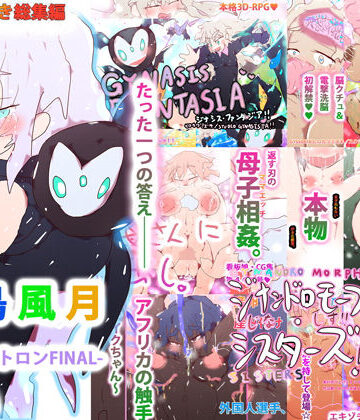 ファンタジー❤【購入特典付き・総集編】花鳥風月-ジナシストロンFINAL–ヒロカワミズキ（スタジオ・ジナシスタ！！）|評価