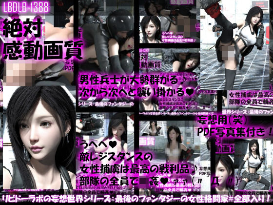 3DCG❤【△500●500】リビドーラボの妄想世界シリーズ:最後のファンタジーの女性格闘家（シリーズ12本全部入り総集編！）-Libido-Labo|評価