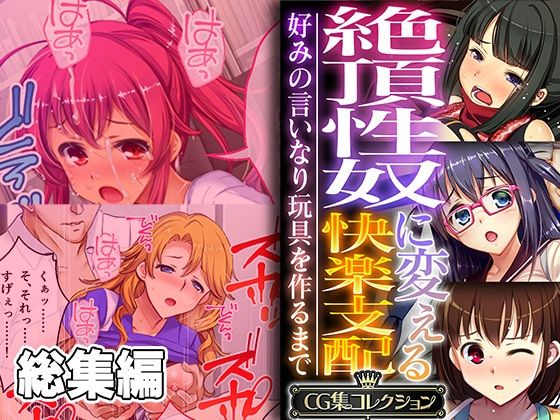 辱め❤絶頂性奴に変える快楽支配 〜好みの言いなり玩具を作るまで〜【CG集コレクション】-どろっぷす！|評価