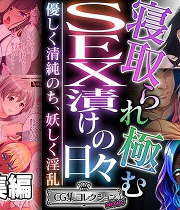 ギャル❤寝取られ極むSEX漬けの日々 〜優しく清純のち、妖しく淫乱〜【CG集コレクション ミニ】-どろっぷす！|評価