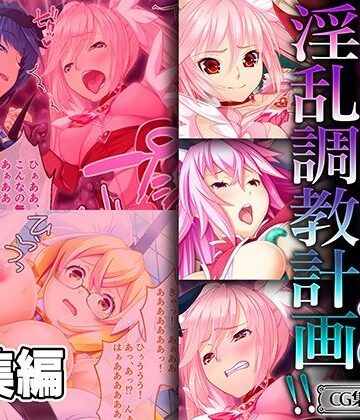 ファンタジー❤魔法少女どもの淫乱調教計画！！ 〜正義のヒロインを一番美味しく味わう方法〜【CG集コレクション ミニ】-どろっぷす！|評価