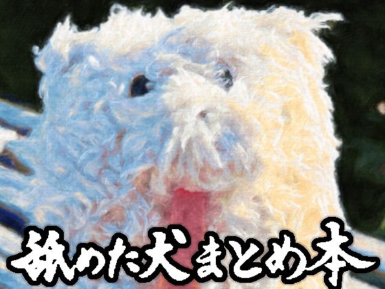 ギャグ・コメディ❤舐めた犬まとめ本-舐めた犬|評価4.86