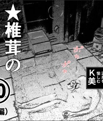 熟女❤実録 ★椎茸のえろ旅 10 （中編）-干し椎茸|評価
