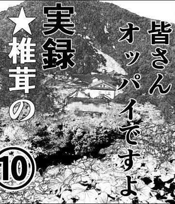 熟女❤実録 ★椎茸のえろ旅 10 （後編）-干し椎茸|評価