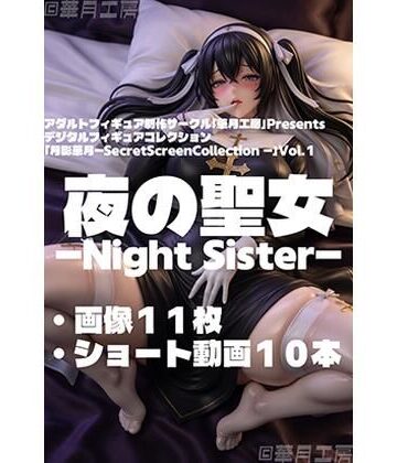 動画・アニメーション❤夜の聖女 – Night Sister –華月工房|評価